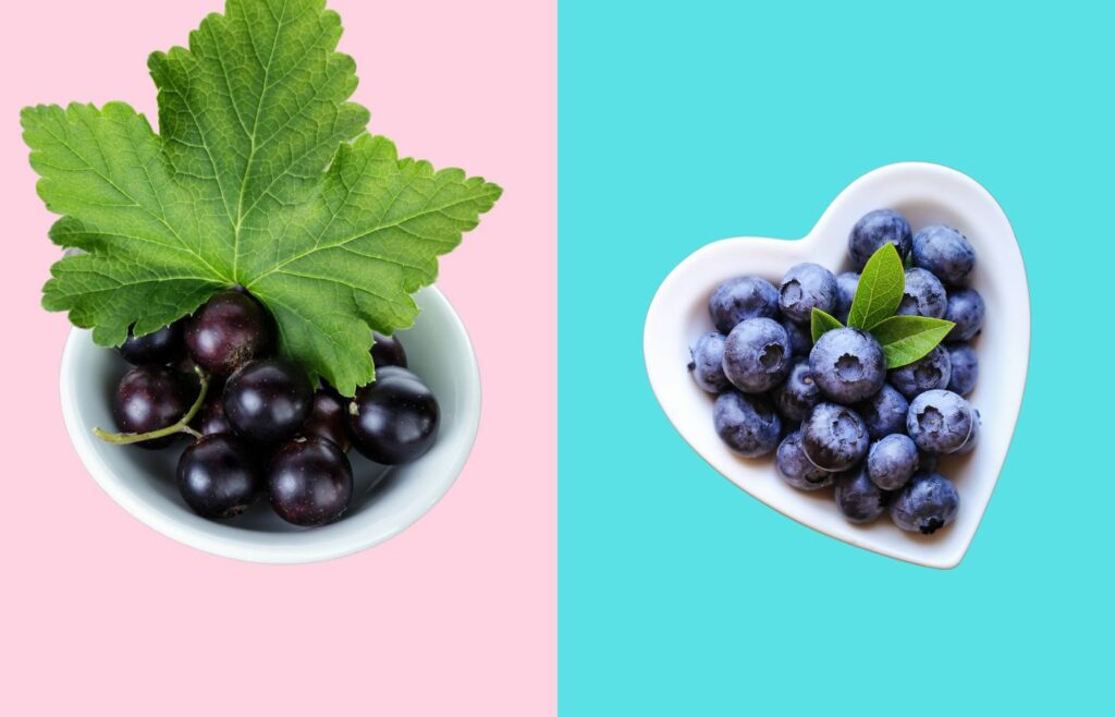 Blackcurrants & Blueberries: Best Remedies For Menopausal Bone Loss